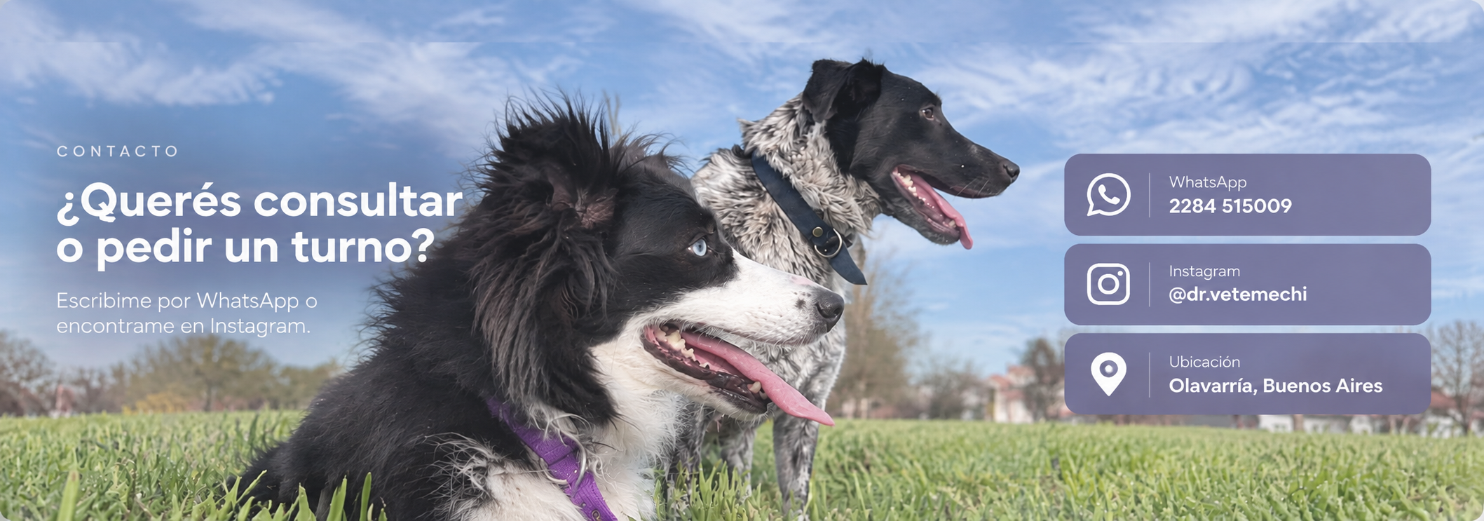 Contacto de Dra. Vete Mechi con dos perros en un parque